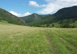 Территория в горном Алтае у горной речки под лечебный всесезонный комплекс отдыха и развлечений