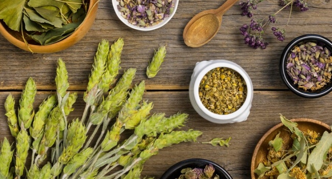 Medicinal Herbs for Health on Shoppharmacyapo