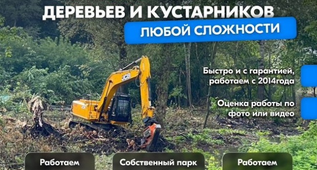 Расчистка территорий от деревьев и пней от 1 Г