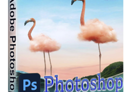 Adobe Photoshop 2021 22.1.1.138